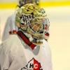 Hokej, Opava 03/2012